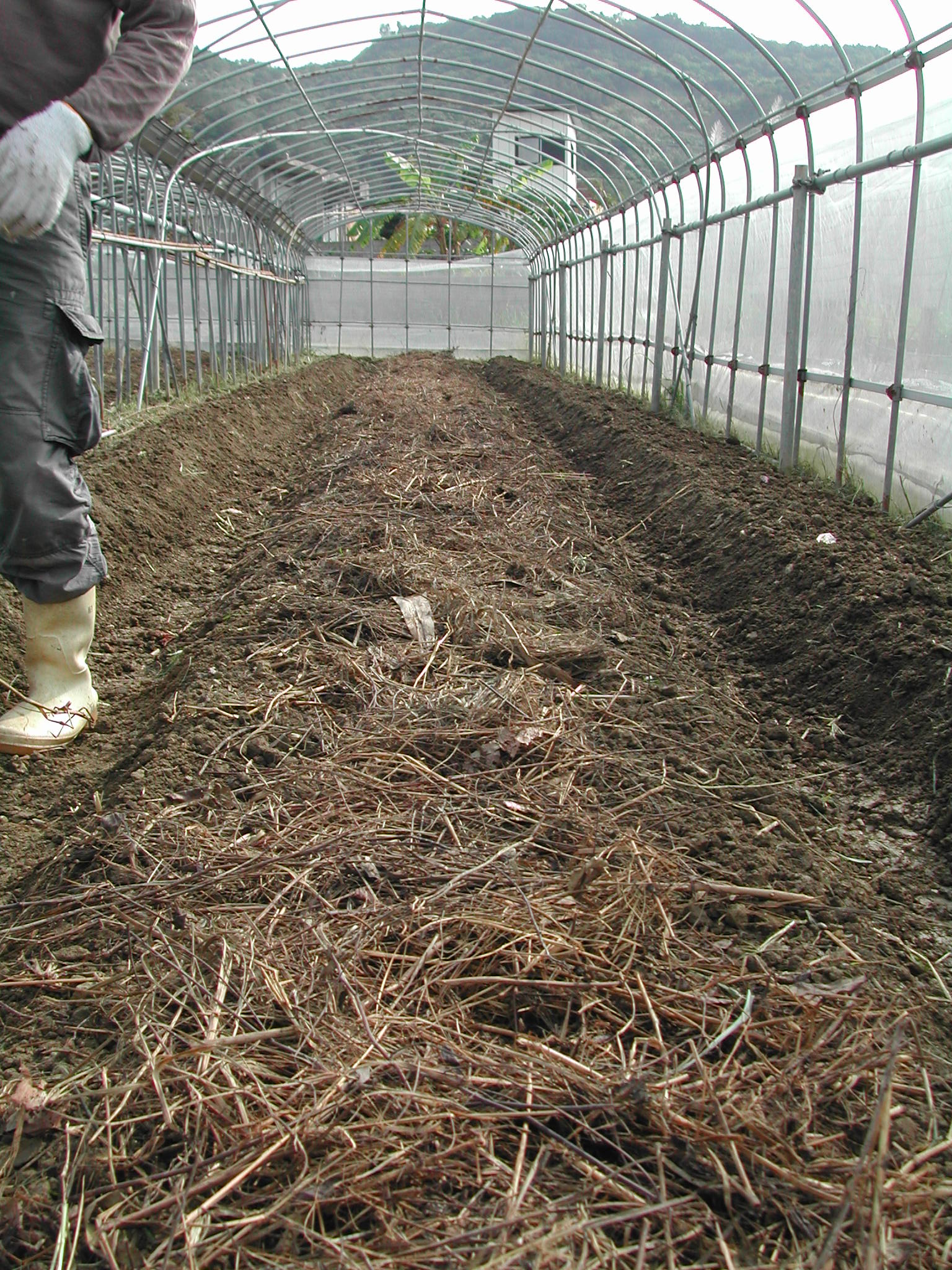 農業 沖縄農的生活