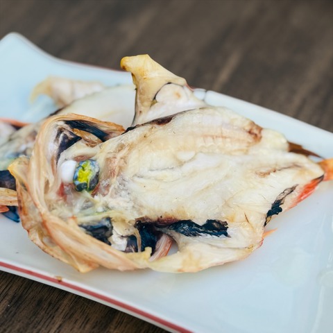 Photoroom_20260301_132312