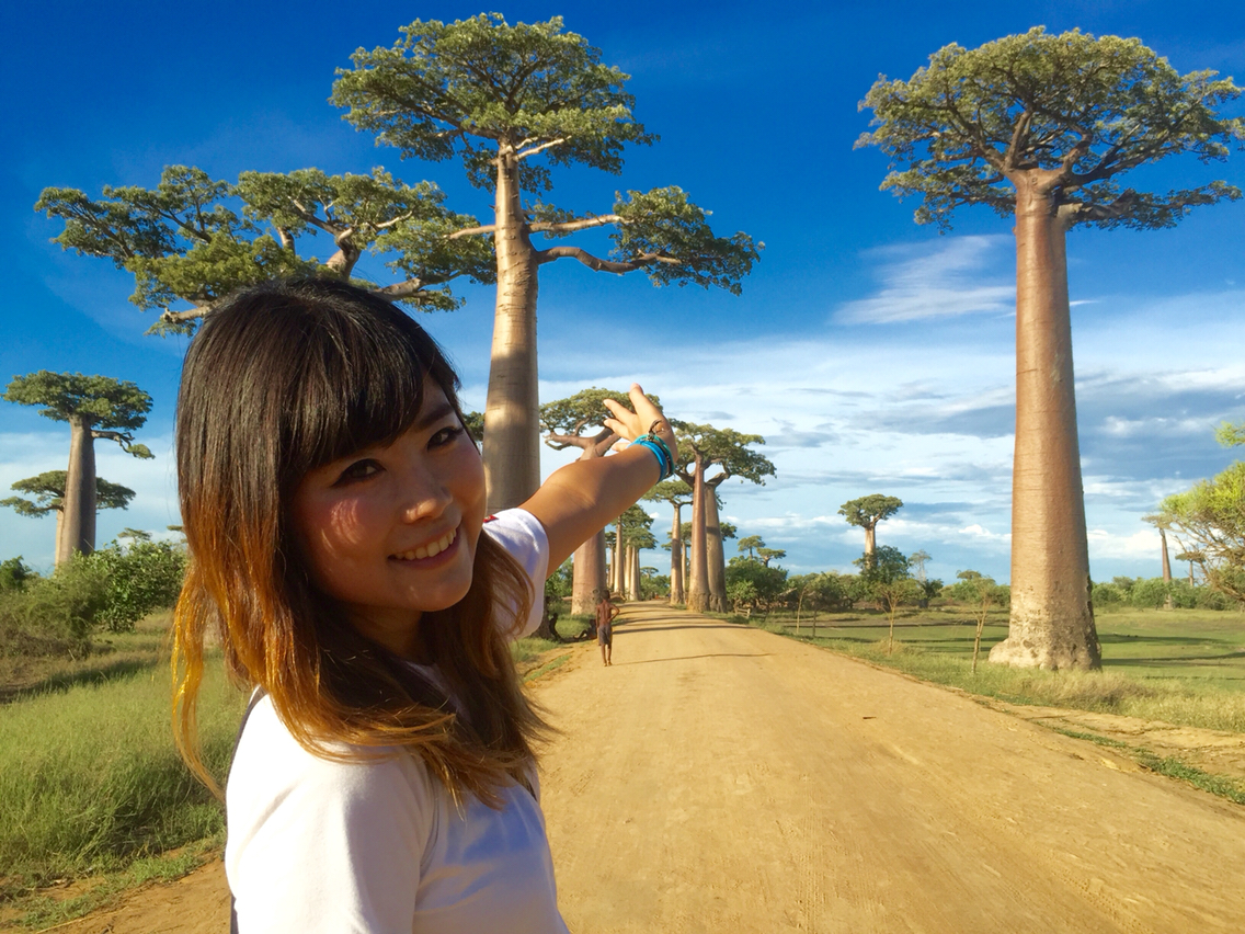 アダンソニア バオバブの木 星の王子さま ✨【B5】バオバブの木 アダン