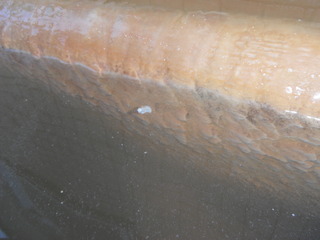 DSCF1543