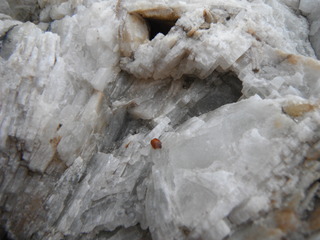 DSCF1902