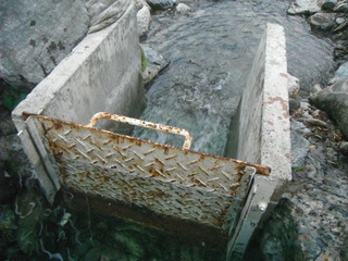 DSCF1877
