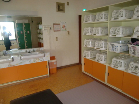 CIMG1384