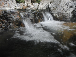 DSCF1883