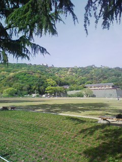 DVC00056