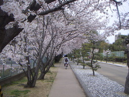 PICT0103