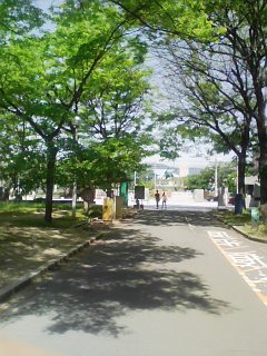 DVC00123