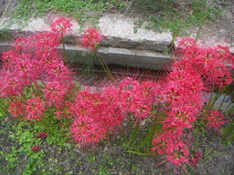 PICT0007