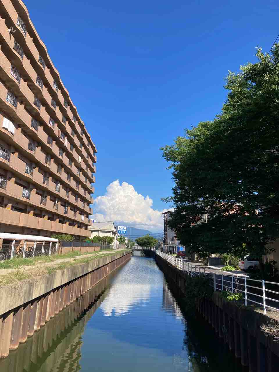 入道雲 さしもも日記 坂の上の雲の松山市から
