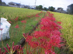 PICT0006