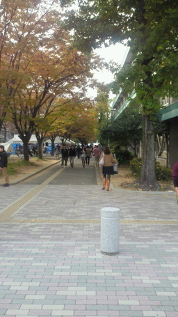 NEC_0366