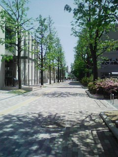 DVC00126
