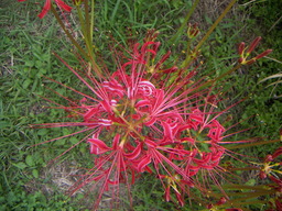PICT0003