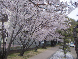 PICT0104