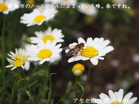 シャープ蚊取空清 虫 アヤセ機工 (2)