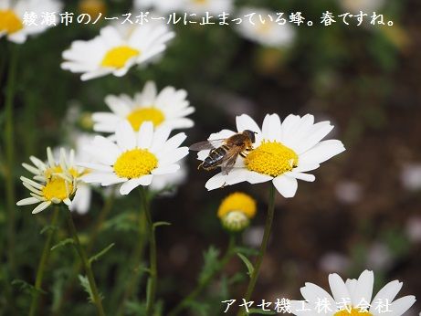 シャープ蚊取空清　虫　アヤセ機工 (2)