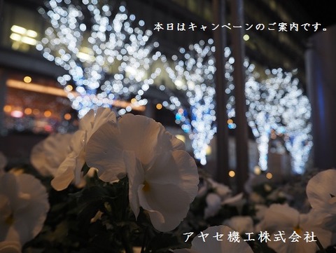 P1043317