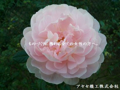 ものづくりに携わる全ての女性の方へ。 アヤセ機工