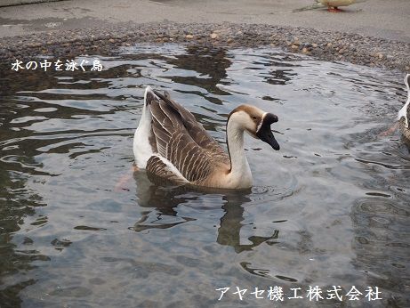 アヤセ機工㈱ (8)
