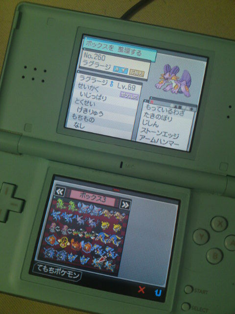 育成 ラグラージ 色違い あかしょとほっこりぽけもんしようず