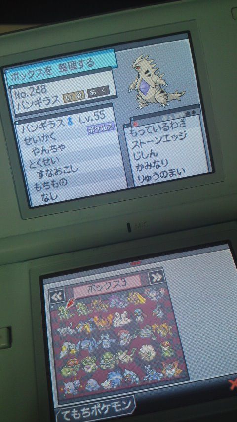 育成 バンギラス 色違い あかしょとほっこりぽけもんしようず