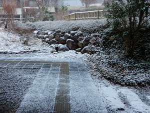DSCN9275