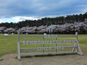 DSCN9757