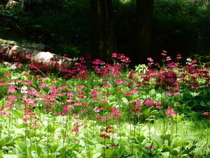 DSCN0615