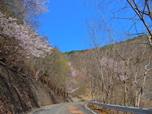DSCN9724