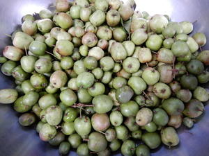 DSCN0240