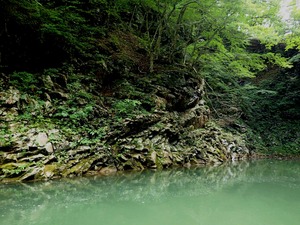 P7261253