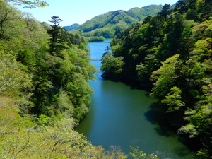 DSCN9595