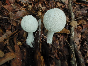 DSCN0572