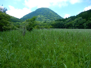 DSCN0619