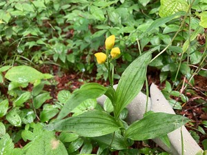 IMG_3186