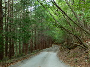 DSCN9718