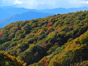 DSCN9889