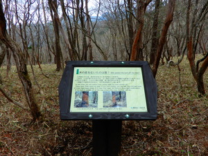 DSCN0709