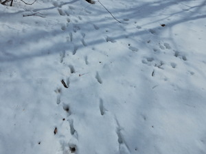 DSCN0081