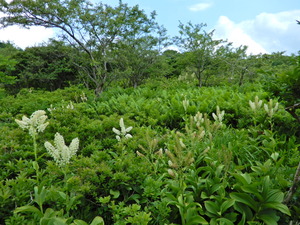 DSCN0255
