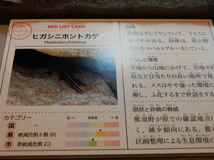 DSCN9312