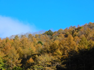 DSCN9892