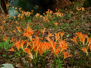 DSCN9854