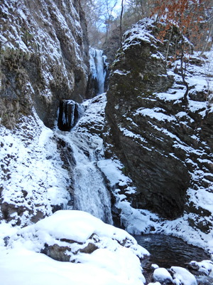 DSCN9637