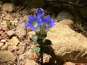 IMG_9179