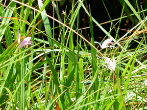 DSCN0764