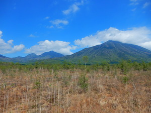 DSCN0672