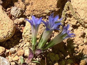 IMG_9180