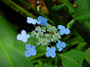 DSCN9738