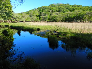 DSCN0477